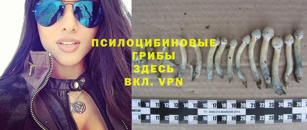 синтетический гашиш Богородск