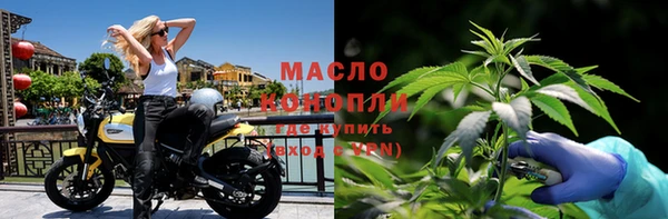 прущие крисы Бородино